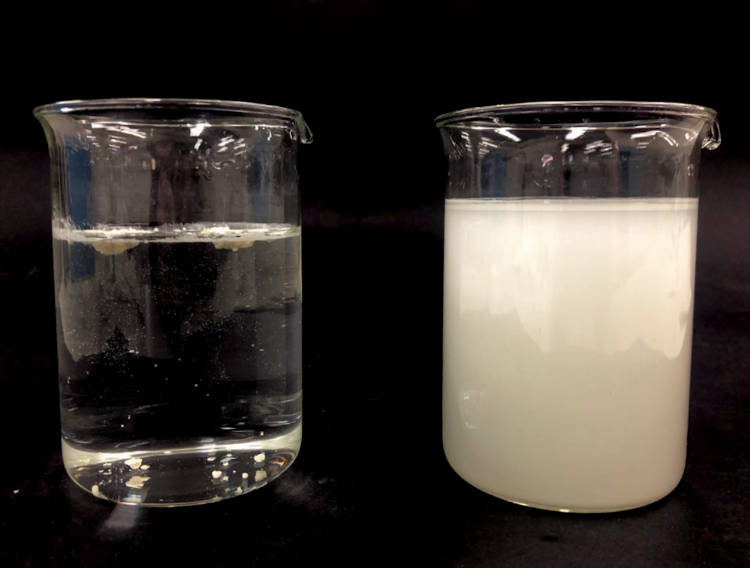 Gencor reports results of Verisperse testing