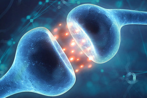 Gencor’s Levagen+ demonstrates superior absorption in recent PK study