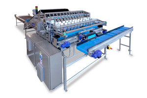 Gentle system weighs in on fresh produce waste