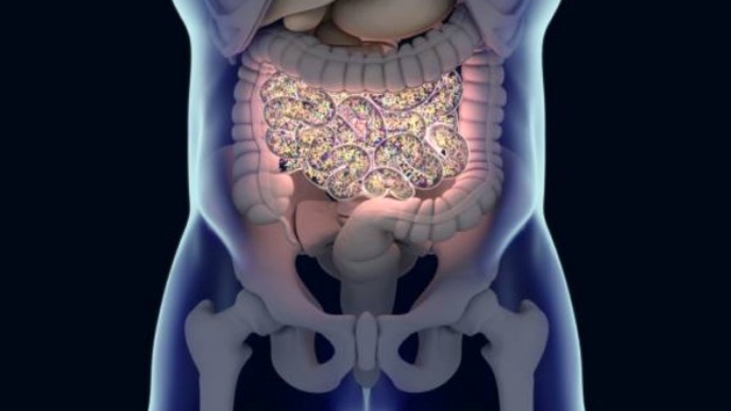 Getting a good gut feeling