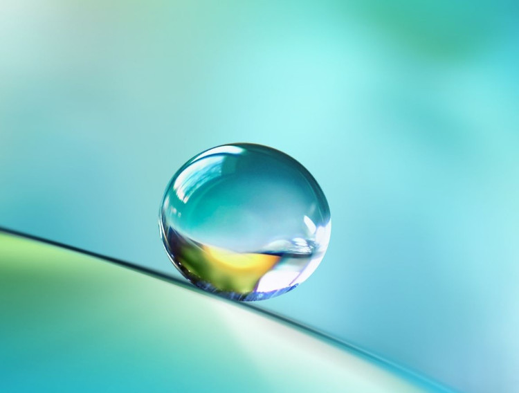 GF Fermentech introduces >96% purity vitamin K2 