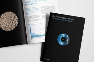Givaudan identifies plant-based proteins with the biggest potential in food industry