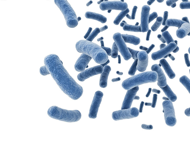 Global probiotics market set for sustained growth through 2030