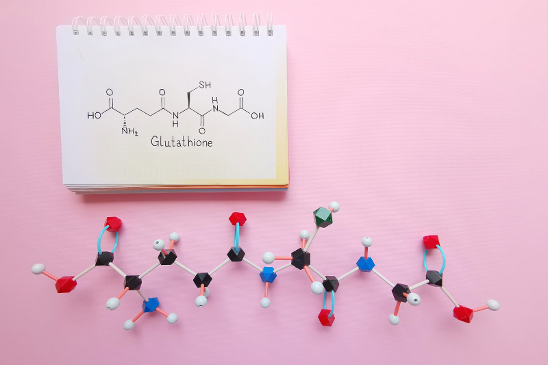 Glutathione precursor expands US nutraceutical presence as cellular health market grows