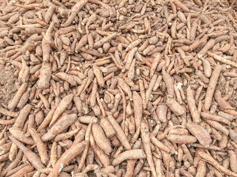 Gluten-free boom fuels ingredient NPD