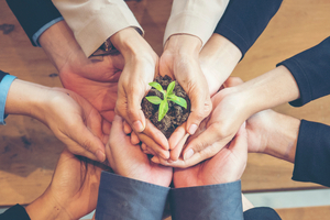 GOED launches industry-targeted omega-3 sustainability portal
