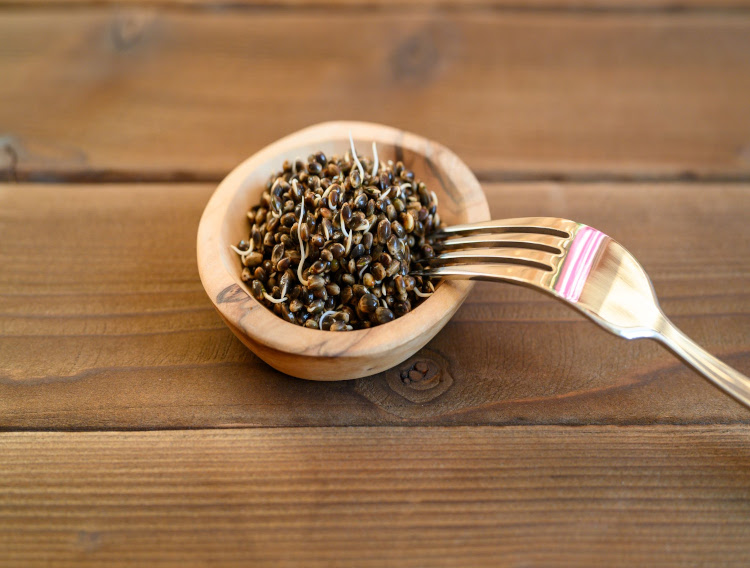 Golden Malt and Foodfarm achieve regulatory approval
