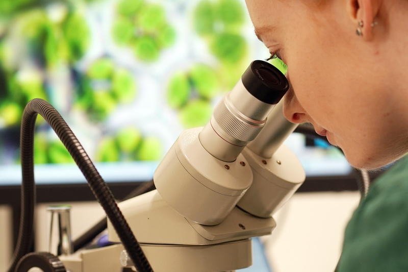 Green Bioactives receives £224,000 to develop its plant metabolite biomanufacturing platform