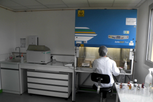 Greentech is growing