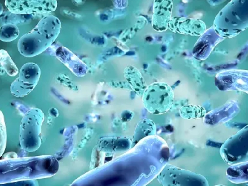 Groupe Berkem launches active ingredients for nutraceuticals market