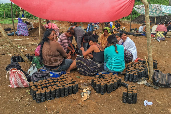 Growing demand for annatto colouring creates a unique ecosystem