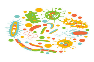 Gut feeling: digestive health tops nutraceutical agenda
