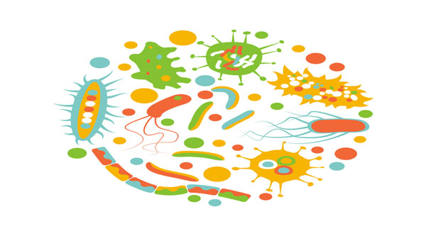 Gut feeling: digestive health tops nutraceutical agenda
