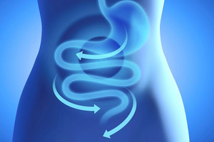 Gut health and the inner defence system
