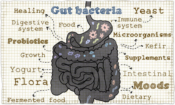Gut health: formulating for whole body wellness