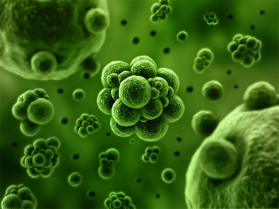Gut microbiome changes in individuals with HIV