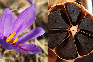 Harnessing natural power: Pharmactive to exhibit saffron gummies and aged black garlic at Vitafoods Europe 2024