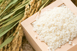 Health Canada reviews phytoceramide ingredient for 'beauty from within' claims