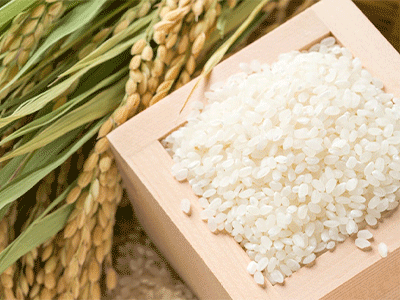 Health Canada reviews phytoceramide ingredient for 'beauty from within' claims