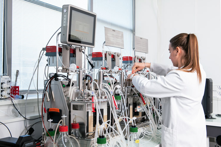 HealthTech Bioactives and Abolis partner for sustainable high-value polyphenol production