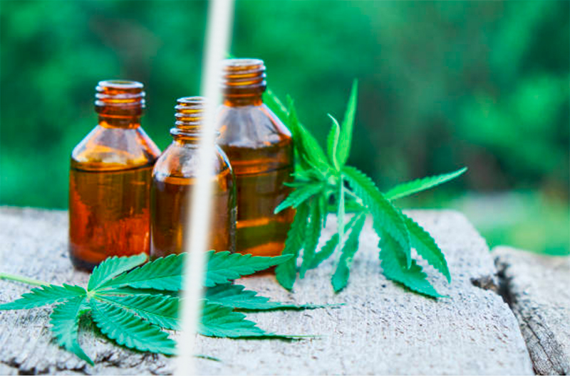 Hemp: how a once alternative ingredient is making waves