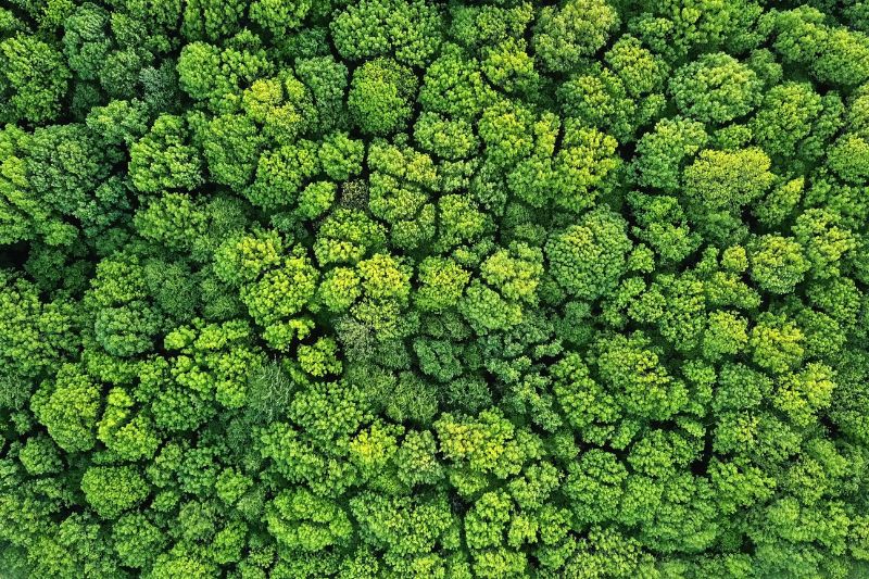 Herbalist & Alchemist Achieves 96% Waste Diversion in 2024 Sustainability Report