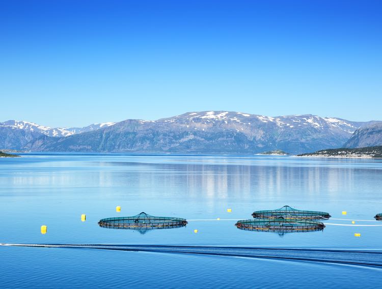 Hofseth BioCare chooses Prinova for EU distribution of marine ingredients