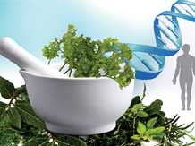 How the US keeps herbal dietary supplements safe