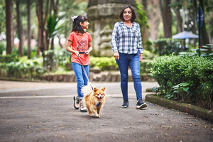 How to treat (and supplement) pets like part of the family