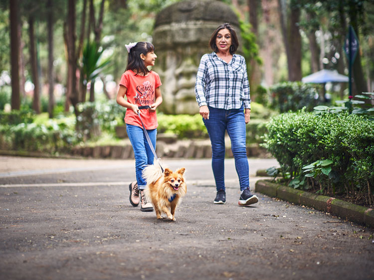 How to treat (and supplement) pets like part of the family