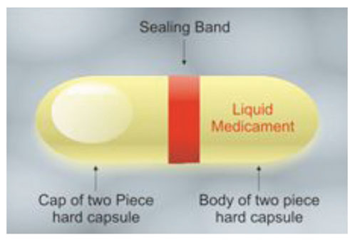 HPMC capsules: gaining momentum in the nutraceutical industry (part II)