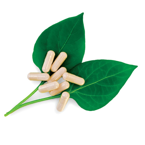 HPMC capsules: gaining momentum in the nutraceutical industry (part I)