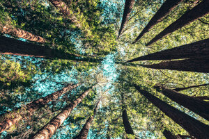 IADSA adopts sustainability principles for supplement sector