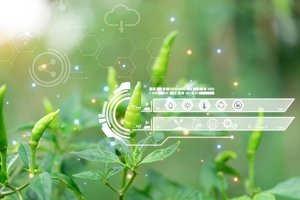 ICL partners Agrematch novel crop nutrition solutions via AI