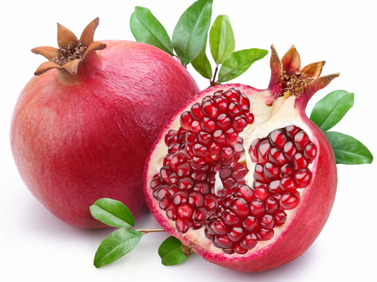Immunity boosters: natural alternatives and bioenhancers
