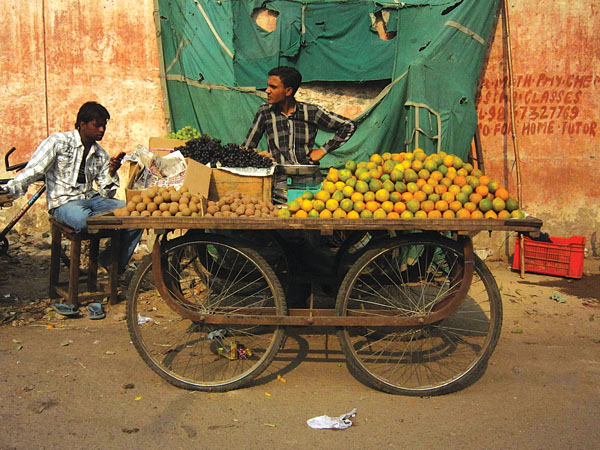 Improving sustainability to address global malnutrition