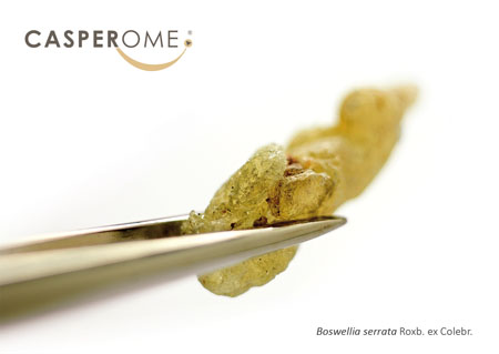 Indena highlights Casperome and Phytosome technology at Vitafoods