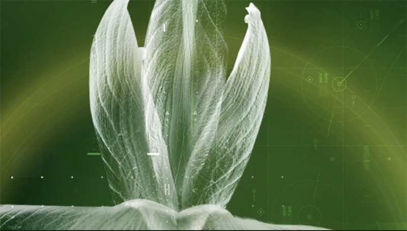 Indena launches its Enovita Organic