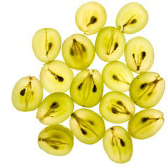 Indena’s grape seed extract Enovita Generally Recognised As Safe (GRAS) for use in food