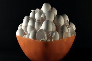 India’s FSSAI grants approval for NEM brand eggshell membrane 