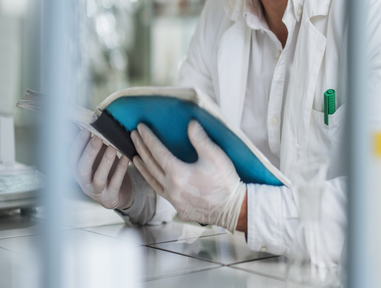 Indonesia approves prebiotic claim for inulin and oligofructose