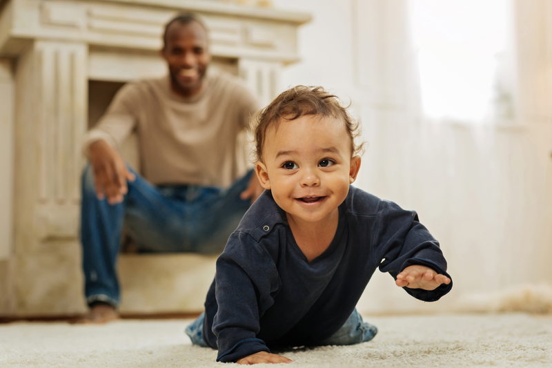 Infant formula ingredient Vivinal Lactoferrin deemed GRAS by the FDA