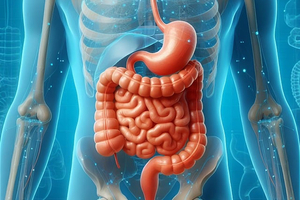 Inflammation in the gut can impact its long-term regenerative capabilities, study reveals