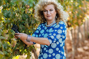 Infusing wine grapes skin with water