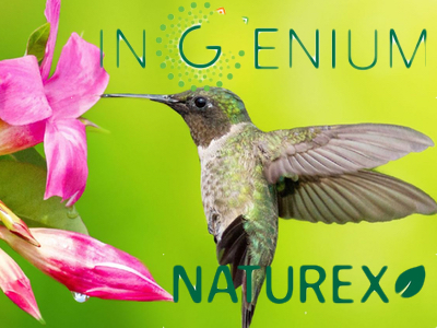 Ingenium, Naturex’s Open Innovation Programme, celebrates its first birthday