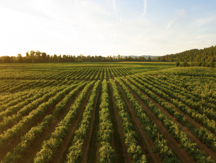 Ingredia partners with French agri-food cluster