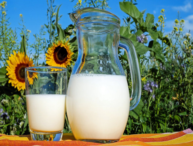 Ingredia to launch two milk proteins at FI Connect