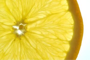 Ingredients by Nature's Eriomin gains positive result in hyperglycaemia study
