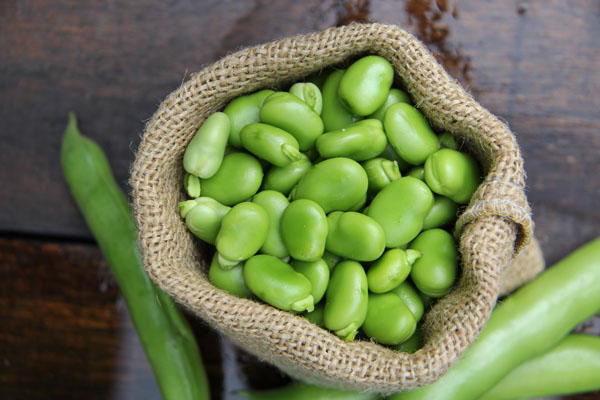 Ingredion launches unique clean taste pulse flours and proteins in Europe
