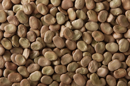 Ingredion launches VITESSENCE pulse proteins to enhance the nutritional value of food